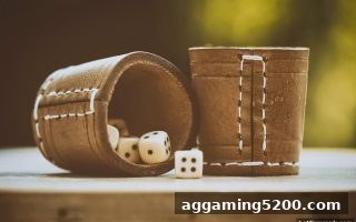 博彩公司排名推荐：Evolution真人双色球全新玩法解析与提现费用优化指南
