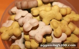 博彩公司排名指南：新手注册送金币与快捷支付的联动玩法
