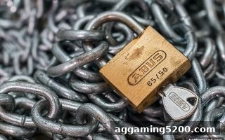 龙虎斗平台异常深度揭秘：结合博彩公司排名，避开出款困局